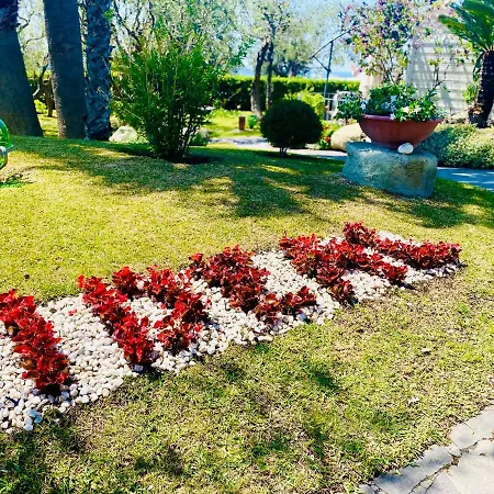 Ideal Forio di Ischia