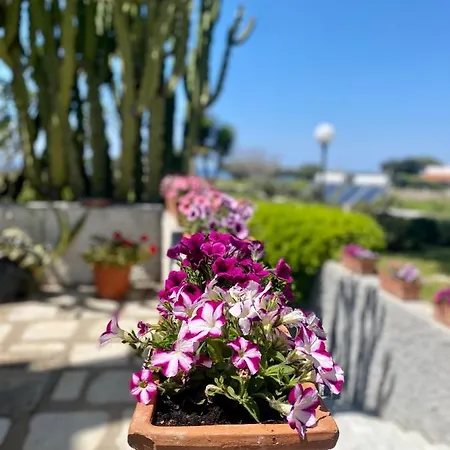 Ideal Szálloda Forio di Ischia